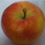 Ein Apfel ist besonders lecker - selbst geerntete Äpfel sind noch leckerer!