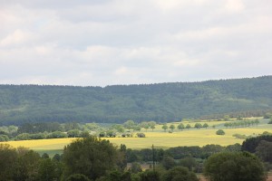 Weserbergland im Mai - Rapsfelder - Landschaft in Grün und Gelb