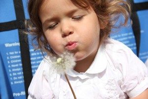 Kleines Mädchen pustet eine Pusteblume