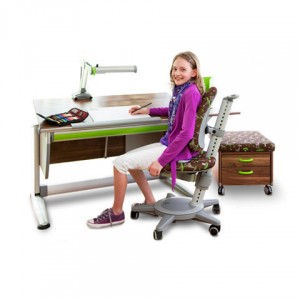 Passend zur Einschulung: Ein guter Schreibtisch hier von Moll-Systemmoebel - Bei Kinderzimmerhaus